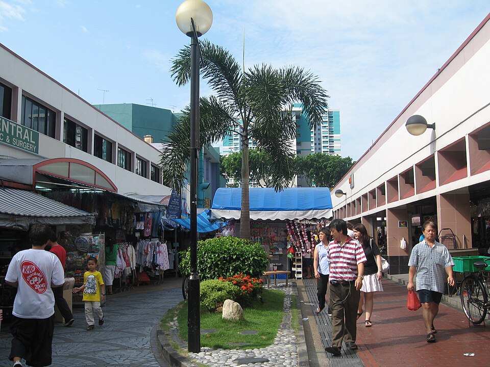 Photo: Terence Ong, CC BY 2.5, via Wikimedia Commons Ngee Ann Primary School photo