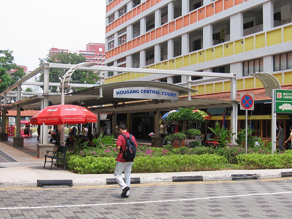 Xinghua Primary School photo